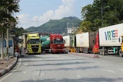 Giải quyết nông sản ùn ứ cần chính sách điều tiết