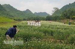Giai điệu mùa xuân