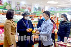 Đồng chí Hà Thị Khiết thăm Trung tâm Nông sản xanh - Sáng Nhung'
