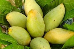3 Bộ lo bảo hộ nhãn hiệu, chỉ dẫn địa lý cho nông sản xuất khẩu
