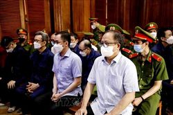 Đề nghị tuyên phạt bị cáo Tất Thành Cang 12 đến 14 năm tù