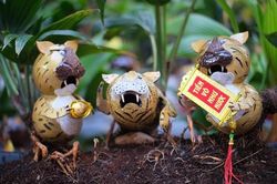 Su hào 'đột biến' được rao 9,9 tỷ, dừa bonsai hình hổ thu hút khách trước Tết Nhâm Dần 2022