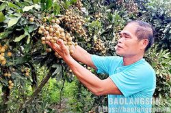 Cựu thanh niên xung phong vượt khó vươn lên làm giàuTin khácCác sự kiện nổi bật trên địa bàn tỉnh năm 2021Công tác đối ngoại: Góp phần thúc đẩy phát triển kinh tế - xã hội, bảo vệ vững chắc chủ quyền biên giới