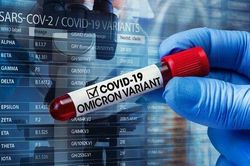 Các ca nhiễm biến chủng Omicron chủ yếu không có triệu chứng