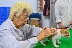 Phòng khám chó, mèo miễn phí của cụ bà 90 tuổi
