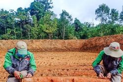 Quảng Trị: Phát hiện quả bom nặng 227kg khi đào ao thả cá