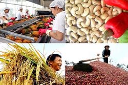 Bức tranh xuất khẩu nông, lâm, thủy sản năm 2021