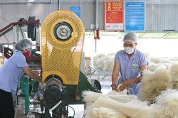 Nâng cao hiệu quả xúc tiến thương mại