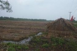 Long An: 2 người chết, 3 người nhập viện sau bữa nhậu, nghi ngộ độc rượu
