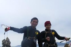 Rum biển được giá, 'cháy hàng'