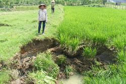 Hố 'tử thần' liên tiếp xuất hiện ở xã miền núi Nghệ An