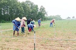 Để hạt ném Như Lệ vươn xa