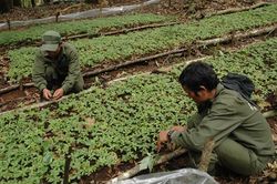 Không để người tiêu dùng chịu thiệt