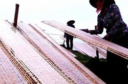 'Thủ phủ' bánh đa nem Hà Tĩnh tất bật vào vụ Tết