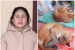Người phụ nữ vận chuyển hơn 24kg động vật hoang dã quý hiếm