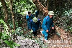 Nghiến tái sinh – tín hiệu vui từ rừng Hữu LiênTin khácTiêm nhắc lại mũi 3 vắc xin COVID-19: Đảm bảo an toàn, nhanh chóng, hiệu quảĐẩy mạnh các giải pháp hỗ trợ tiêu thụ nông sản ùn ứ tại khu vực cửa khẩu
