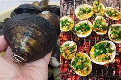 Nơi tận cùng tổ quốc có món vọp nướng, nhìn giống nghêu sò nhưng ngon hơn nhiều
