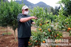 Những nông dân thời kinh tế sốTin khácTiêm nhắc lại mũi 3 vắc xin COVID-19: Đảm bảo an toàn, nhanh chóng, hiệu quảĐẩy mạnh các giải pháp hỗ trợ tiêu thụ nông sản ùn ứ tại khu vực cửa khẩu