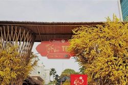 'Lễ hội Tết Việt' tại TP. HCM sẽ khai mạc vào ngày mai