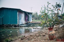 Những ngày cận Tết ở 'xóm nhà phao'