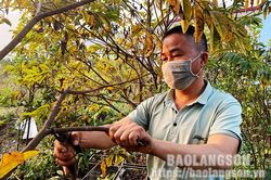 Phát triển kinh tế từ trồng cây ăn quảTin khácQuy định 37 về những điều đảng viên không được làm: Lăng kính để đảng viên tự soi, tự sưảTiêm nhắc lại mũi 3 vắc xin COVID-19: Đảm bảo an toàn, nhanh chóng, hiệu quả