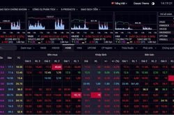 Nhà đầu tư hoảng loạn, VN-Index mất hơn 40 điểm