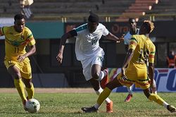 Soi kèo nhà cái Zimbabwe vs Guinea. Nhận định, dự đoán bóng đá châu Phi (23h00, 18/1)