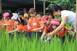 Chuẩn bị cho con tình yêu lao động
