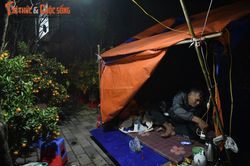 'Cắm trại' trên đường phố Hà Nội trông đào quất xuyên đêm