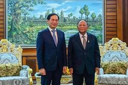Bộ trưởng Ngoại giao Bùi Thanh Sơn chào xã giao Chủ tịch Thượng viện và Chủ tịch Quốc hội Campuchia