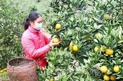 Khởi sắc Phiêng Khoài
