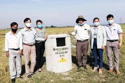 Cần thu gom, xử lý bao gói thuốc bảo vệ thực vật sau sử dụng hiệu quả hơn
