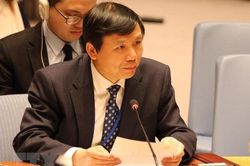 Đại sứ: Việt Nam giữ nguyên tắc nhưng vẫn 'có tình có lý' ở LHQ