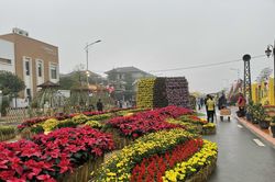 Hà Nội mở đường hoa xuân 'Hành trình vàng son Tết Việt'