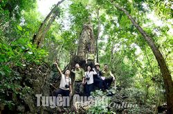Thả mình vào thiên nhiên