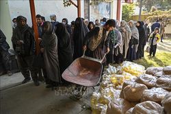 Afghanistan: Chính quyền Taliban phân phát viện trợ nhân đạo cho các địa phương