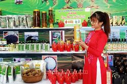 Kinh tế | Ocop Lai Châu TRUYỀN HÌNH INTERNET Lai Châu qua ảnh