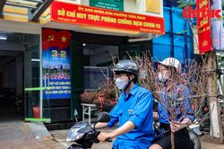 Hà Nội: Mang đào Tết đến tận nhà cho các F0