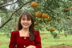 Cô giáo mầm non xinh như hotgirl bên vườn cam đặc sản đón Tết
