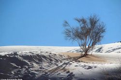 Cảnh tượng cực hiếm: Băng tuyết phủ trắng sa mạc Sahara