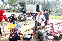Tăng cường quản lý chất lượng nông, lâm, thủy sản