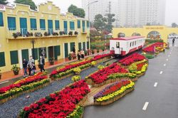 Ấn tượng đường hoa xuân 'Hành trình vàng son Tết Việt'