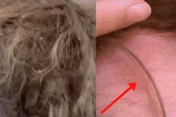 Cô bé mang mái tóc rối như tổ quạ đến salon, chuyên gia bới lên thì sốc nặng với cảnh tượng ác mộng hiếm thấy