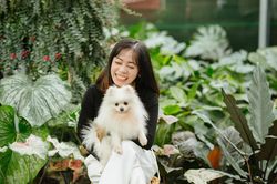 Bỏ việc lương nghìn USD ở TP.HCM về quê kinh doanh kiểng lá