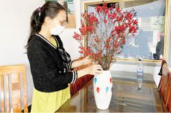 Đời sống Thú chơi 'hoa củi khô' chưng tết
