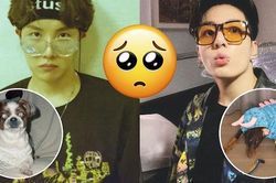Đo độ 'cute' của các cún cưng BTS trên Instagram