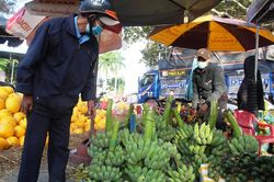 Kinh tế Thông tin thị trường Thị trường hoa trái nhộn nhịp, giá chuối tăng vọt