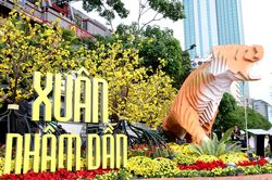 Hình ảnh đường hoa Nguyễn Huệ trước ngày khai mạc