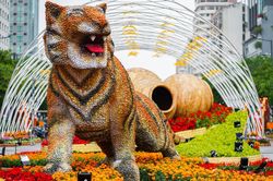 Đường hoa Nguyễn Huệ trước giờ đón khách
