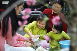 Từ Hà Nội về quê sum họp, gói bánh chưng Tết